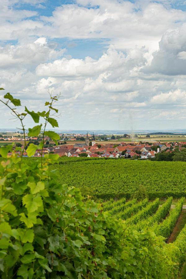 Landgasthof May Willanzheim Экстерьер фото
