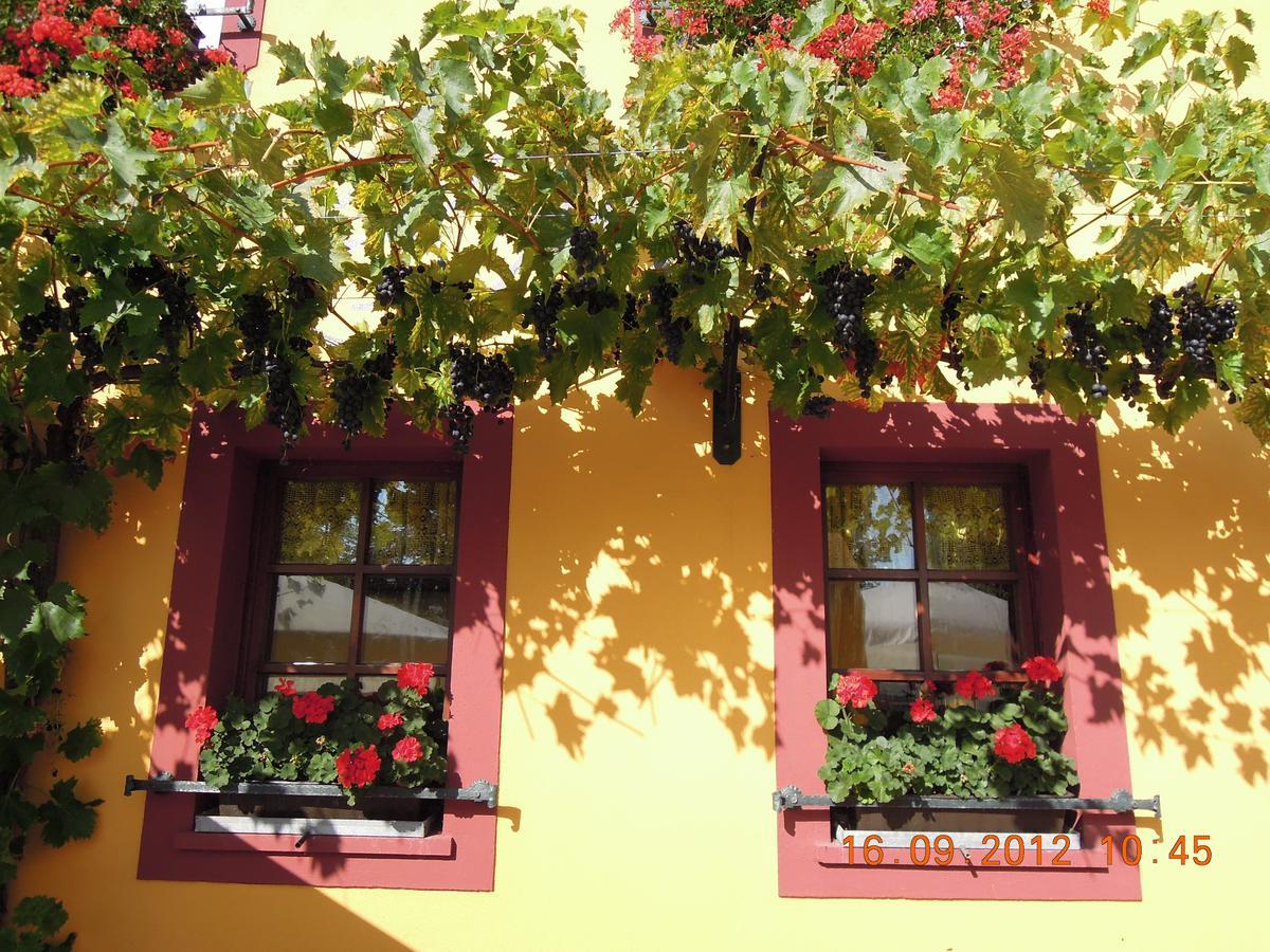 Landgasthof May Willanzheim Экстерьер фото